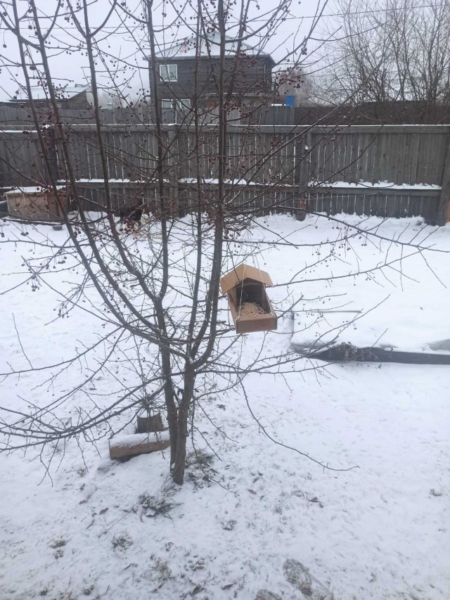 Из окна моего дома