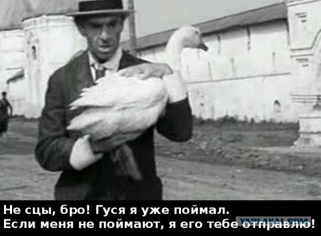 Осторожно, на ЯПе мошенник! AbuBakar!