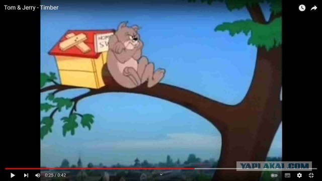 Ну все, снег расчистил, можно отдохнуть