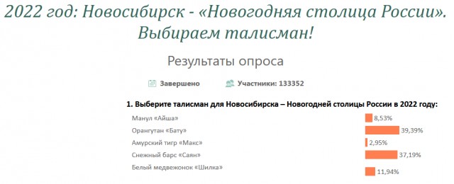 Медвежонок против орангутана: мэрию Новосибирска обвинили в коррупции на выборах новогоднего талисмана города