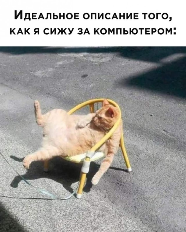 Картинки и мемы для настроения - 15