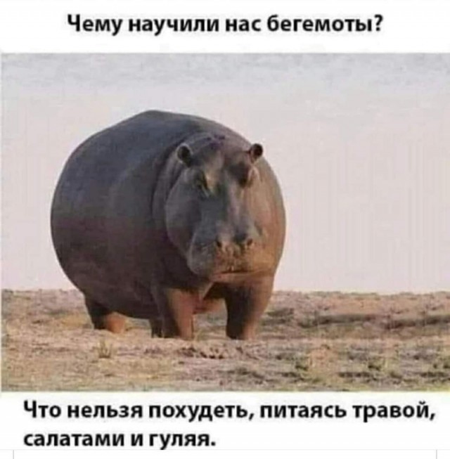 Немного картинок разной степени новизны и адекватности - 14