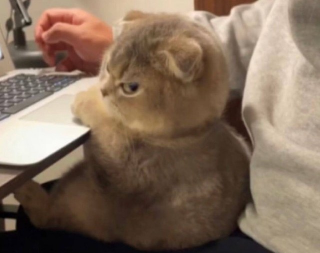 Весёлые картинки 13.04.2022