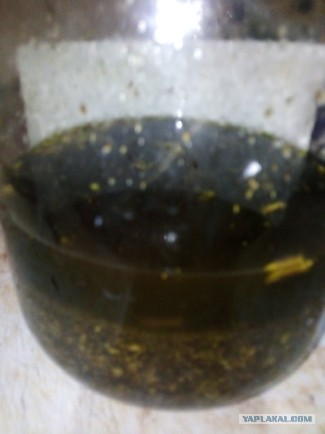 Coca-Cola + Jack Daniel’s
