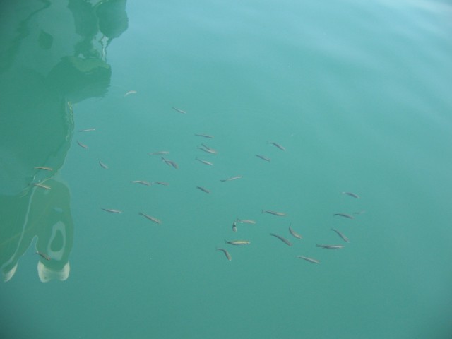 Отдых в Черногории (сентябрь 2012)