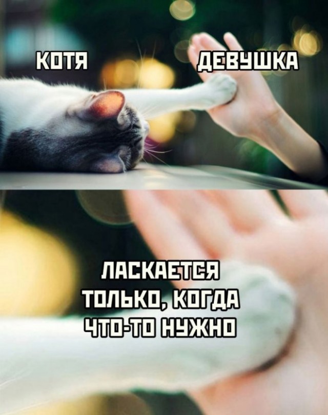 Картинки и мемы, всем хороших выходных