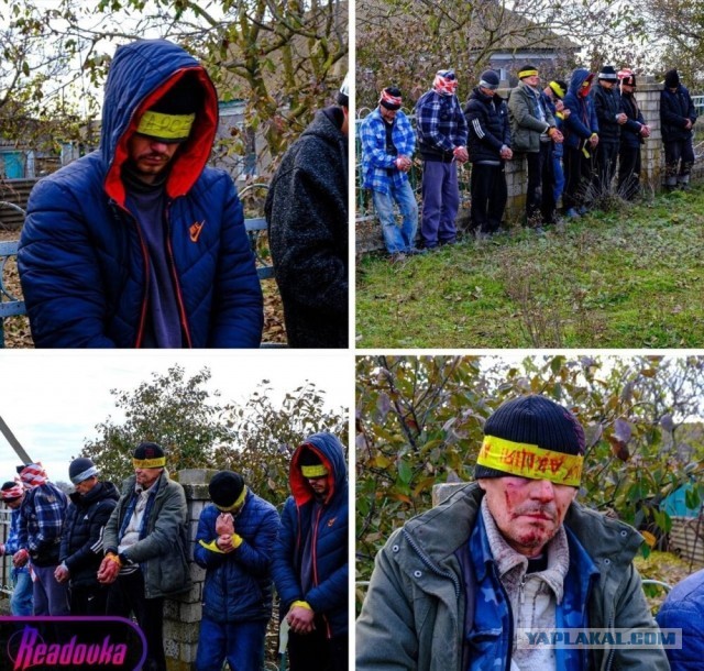 "Енота мы не отдадим. Енот останется с нами. Победа будет за нами, ребят!"