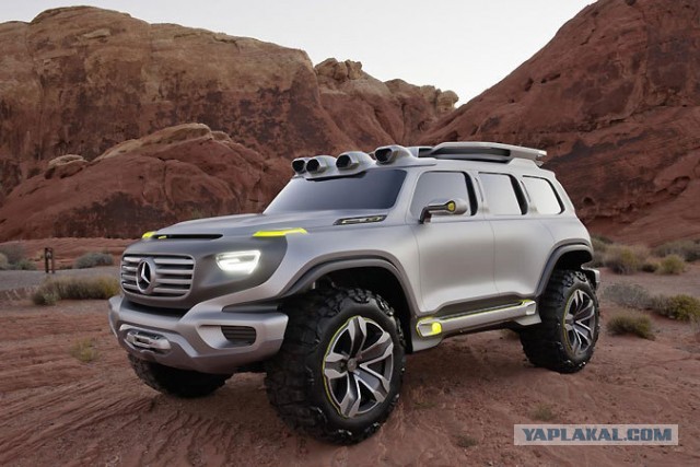 Смотрите какие жыпы!