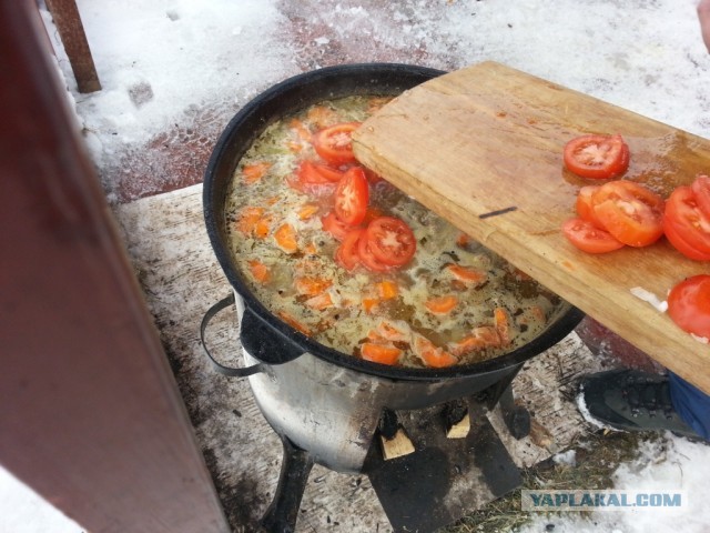 Шурпа