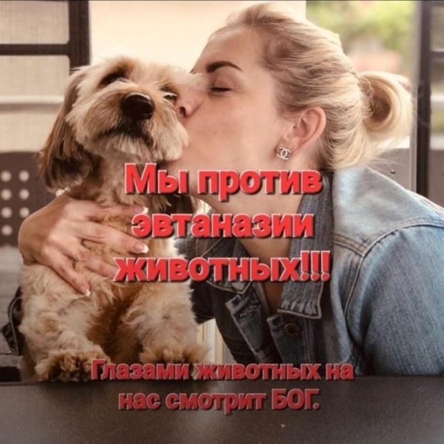 Митинг против бродячих собак в Астрахани