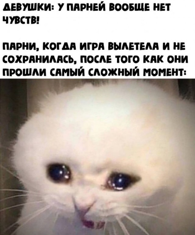 Немного картинок 07.05.23