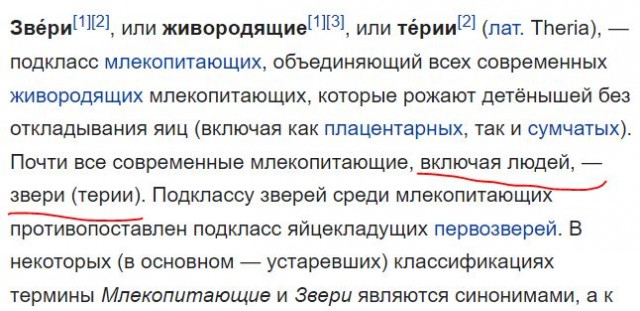Посмотри на моего малыша!
