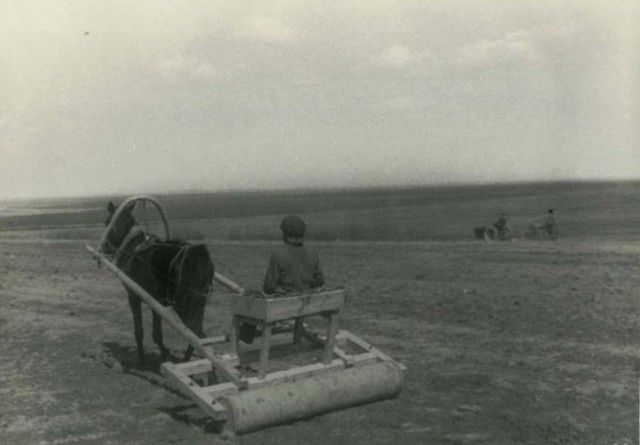 Фотографии из прошлого нашей страны - 31