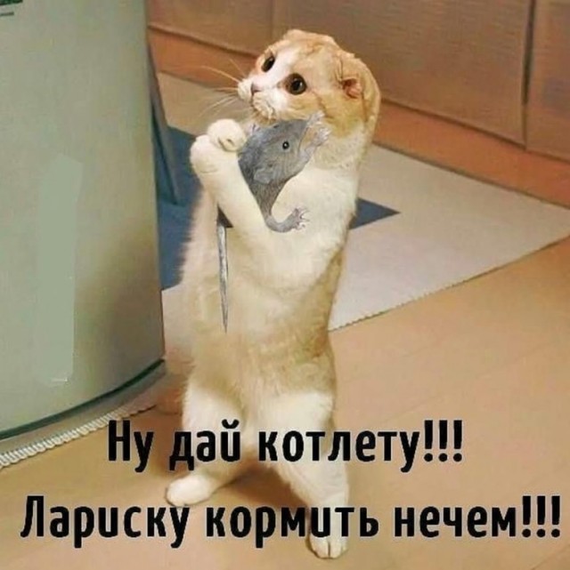 Немного картинок и прочей хреноты Vol. 26