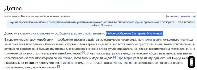 Мизулина пытается объяснить студентам что доносы — это хорошо