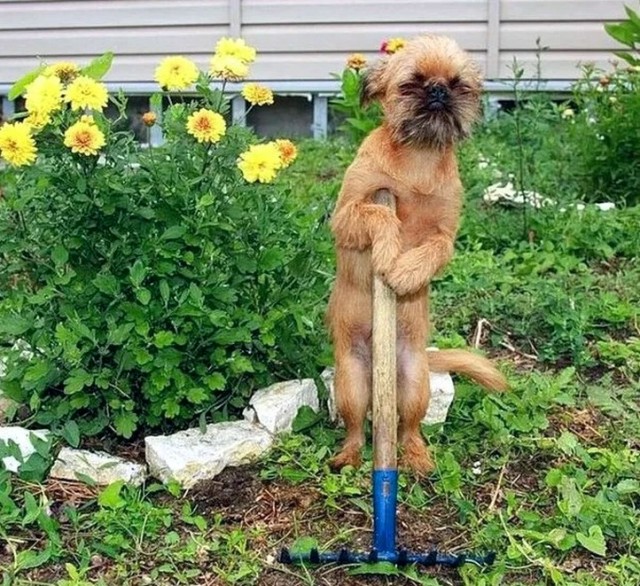 Винни-ЯПух, ЯПтачок и все-все-все...