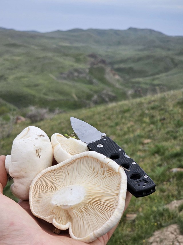 Кулинарная общалка