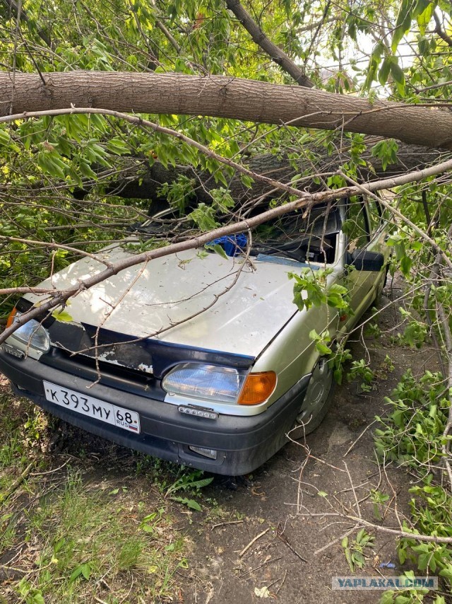 Москвичи, если думаете, что с погодой не повезло именно вам, то...