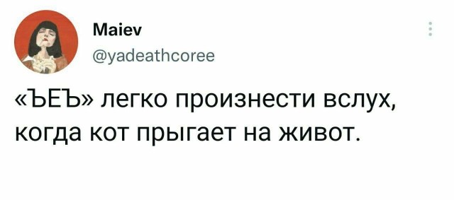 Никакие картинки