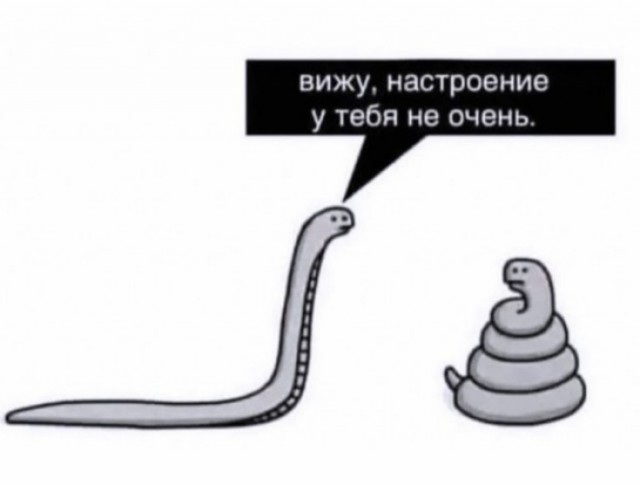 Так себе картинки 13.07.24