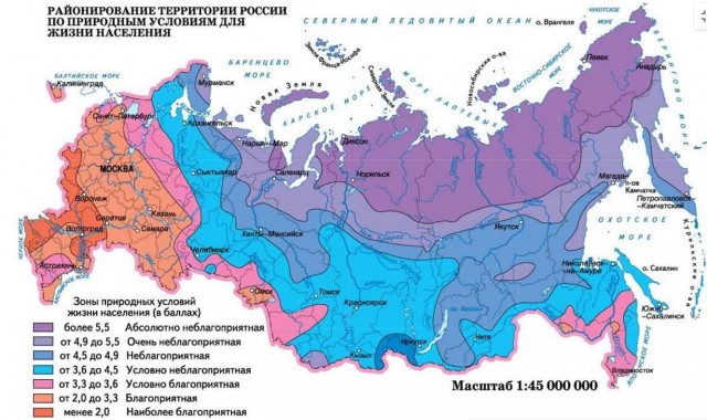Путин назвал главным сейчас решение актуальных задач в Курской области: 
Минобороны должно выбить противника с территории региона