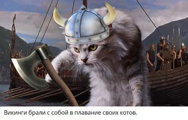 Баги в природе