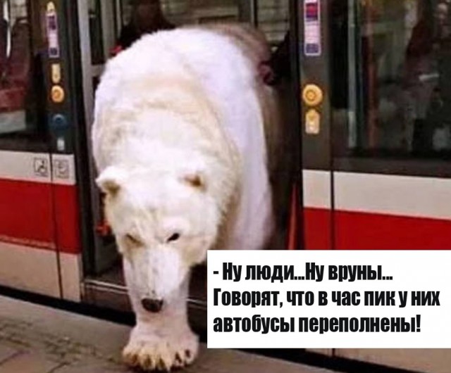 Так себе картинки 03.10.24