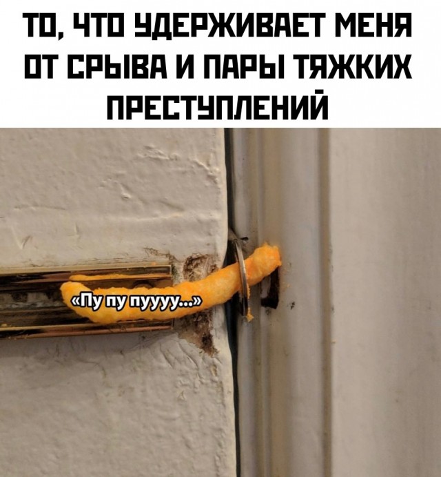 Весёлый полтишок 22.11.24