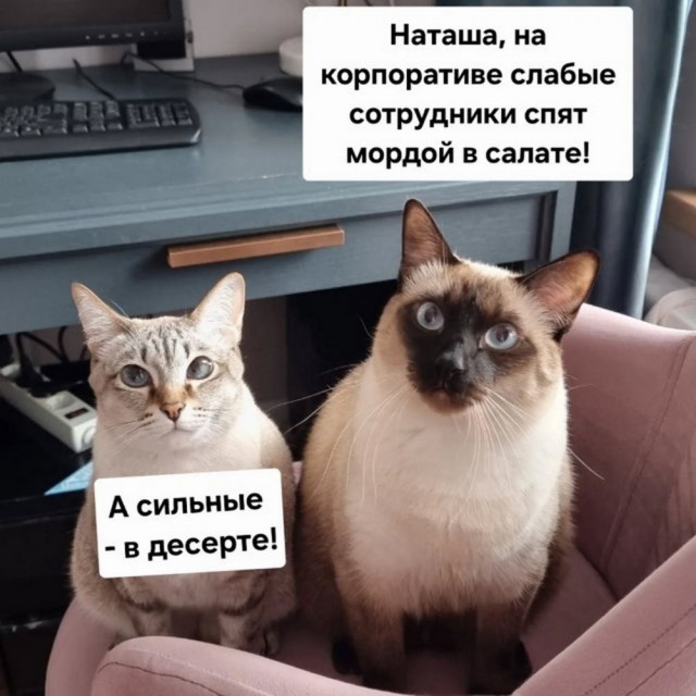 Нуштош 14.01.2025. Теперь ждем лета (s3e2)