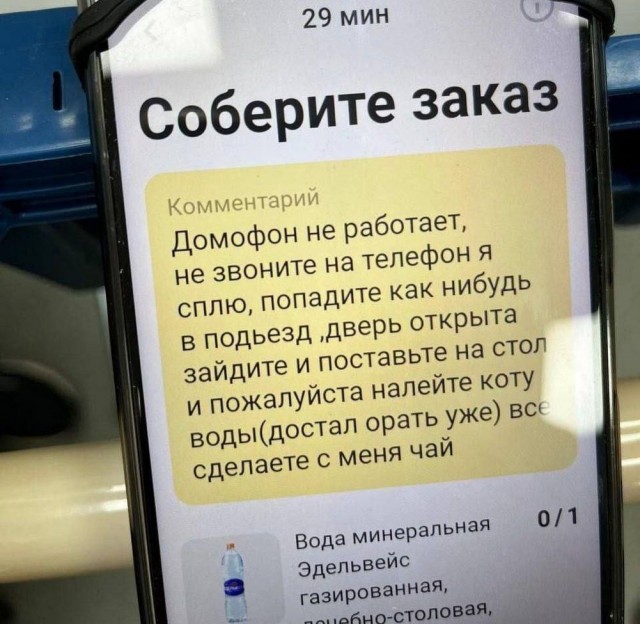 Нуштош 17.01.2025. Чем кажутся совы (s3e2)