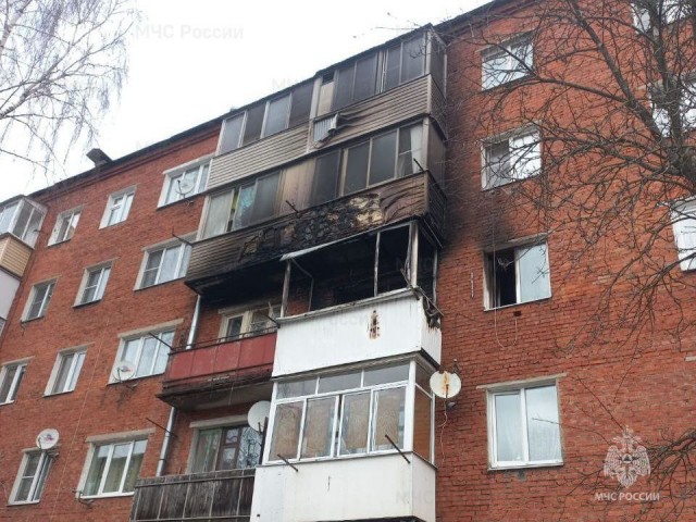 В Подмосковье кошка спасла хозяина от гибели в пожаре