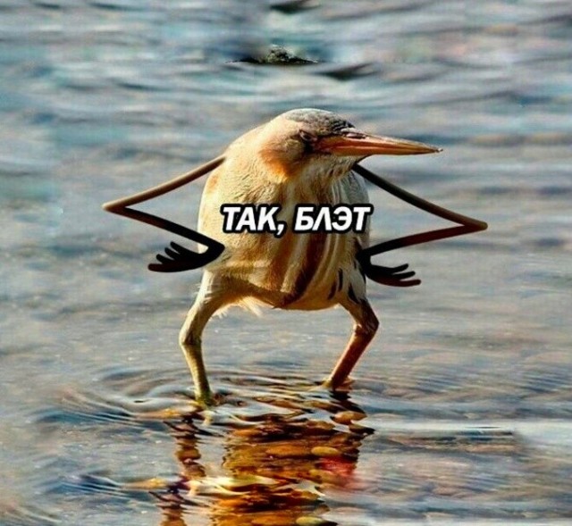 Требуха - китайский дракон