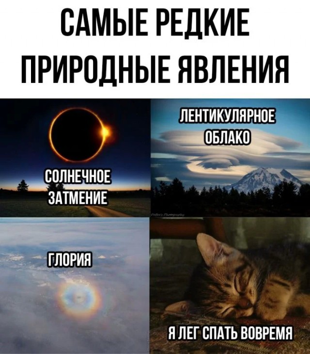 Юмор для тех, кто уже повзрослел и понял, что выходные — это миф