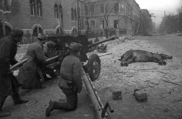 Фотограф Евгений Халдей
