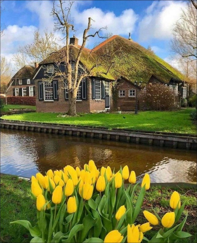 ФотоВинегрет