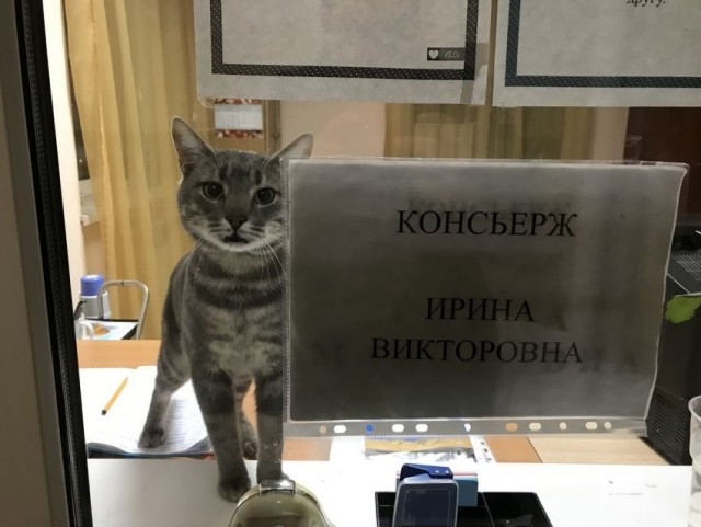 Фото сударынь с отзывов Wildberries - 27
