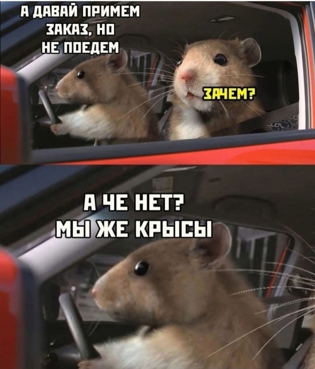 Маленькая пятница 4.06.25