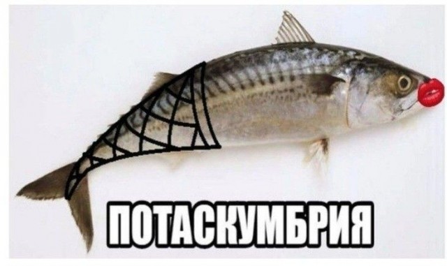 8 картинок животного мира