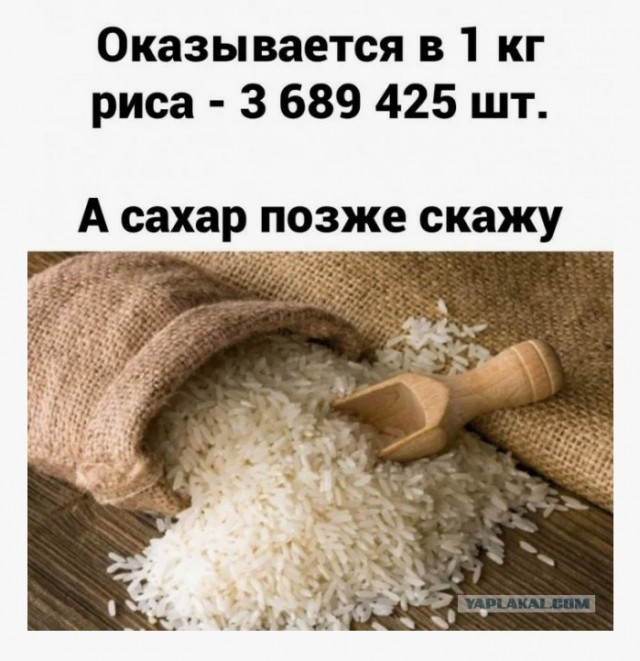 Когда бабе заняться нечем