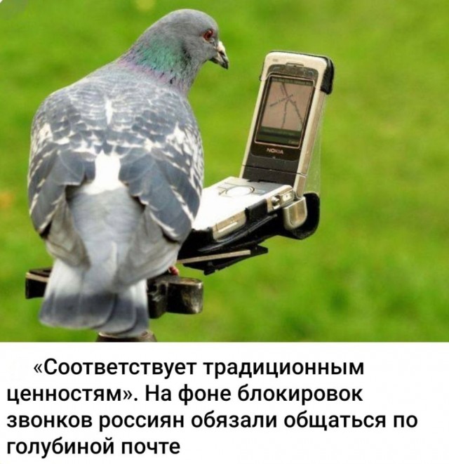 Голубиная почта