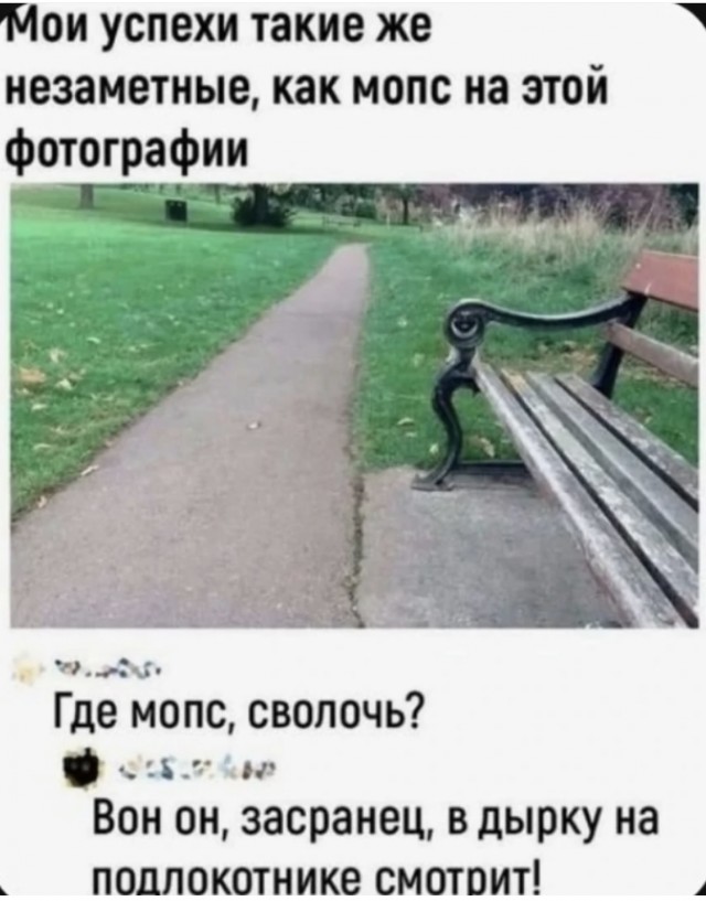 Картинки для деградации 32 (разной степени свежести)