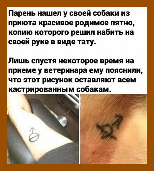 Куча мала