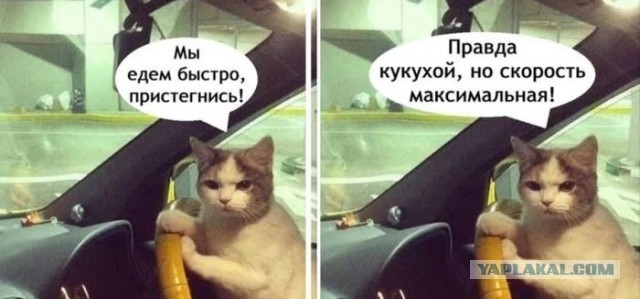 Ааа...