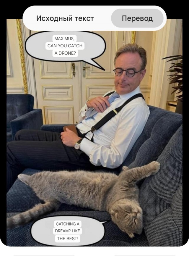 Барт Вевер с котом