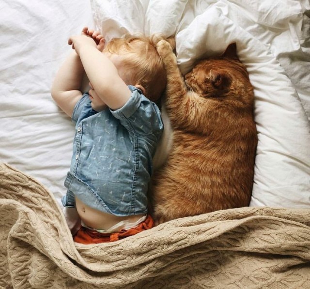 Прикольные и просто красивые картинки 18.11.2025