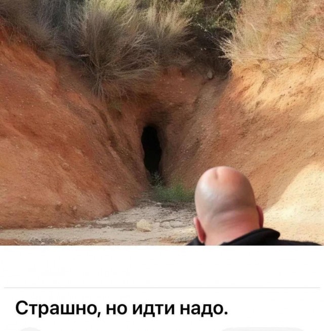 Забавные и не очень скромные картинки - 18