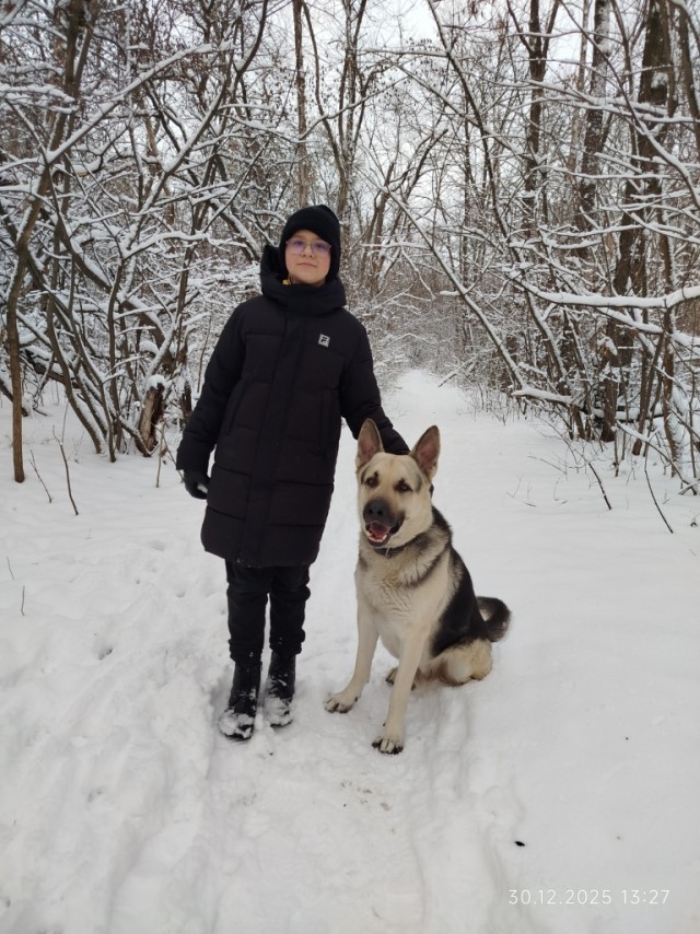 Зимняя дорога