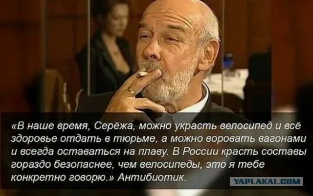 Подобные приговоры работают эффективнее любых иноагентов