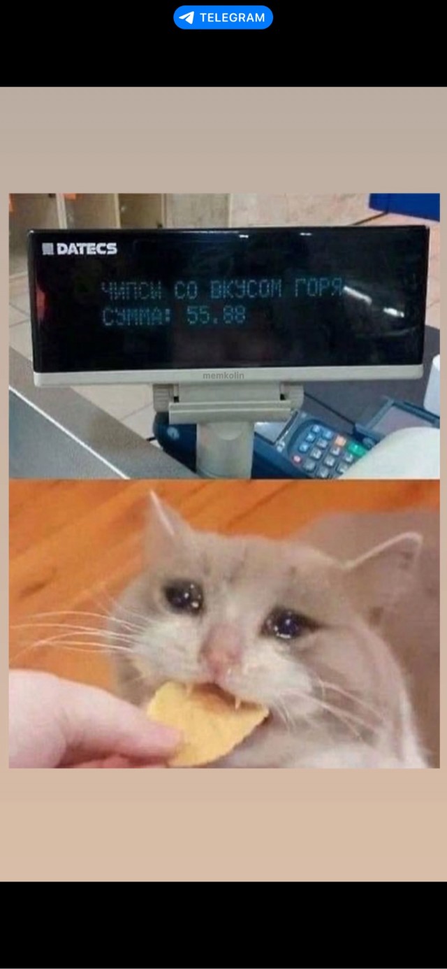 Деградация