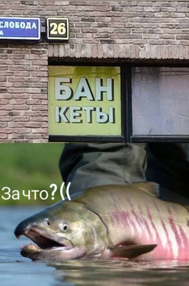 Веселые картинки в понедельник (20.04)